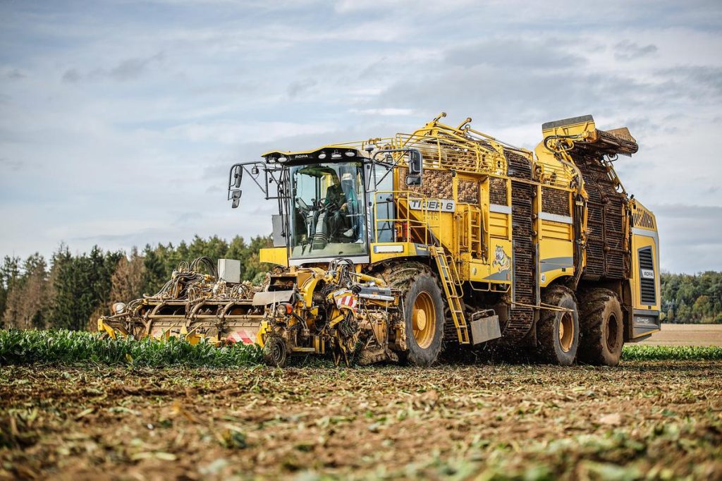 How will sugar beets be harvested by farmers from Pfeifer & Langen?
