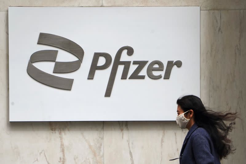 Pfizer will buy 8.1% of the capital of the vaccine company Valneva
